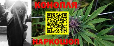 спиды Волгодонск