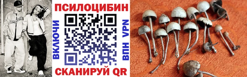 Галлюциногенные грибы Psilocybine cubensis  купить закладку  Борисоглебск 