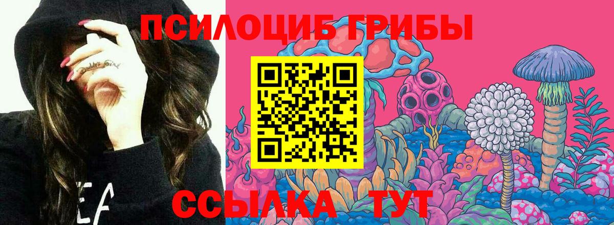 Галлюциногенные грибы MAGIC MUSHROOMS  Псилоцибиновые грибы Cubensis  Вход с VPN  Борисоглебск 