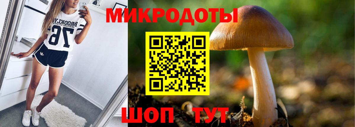 Псилоцибиновые грибы Psilocybe Борисоглебск
